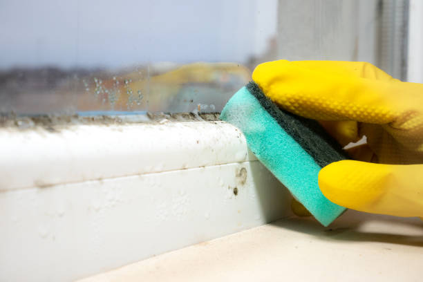 Mold Remediation for Vacation Homes in Los Gatos, CA